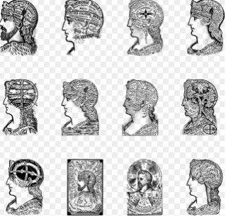 성격 vs 성격 특성 &ndash; 타고나는 성격과 후천적으로 변할 수 있는 성격