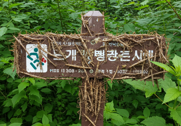 인천 대벌레 정체 문학산 계양산 대량 출몰 해충 익충 분석 총정리 1