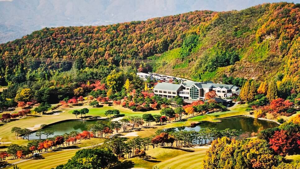 골프장 경험담 여주 신라CC 전통의 품격과 현대의 감성이 만나는 곳 완벽 가이드