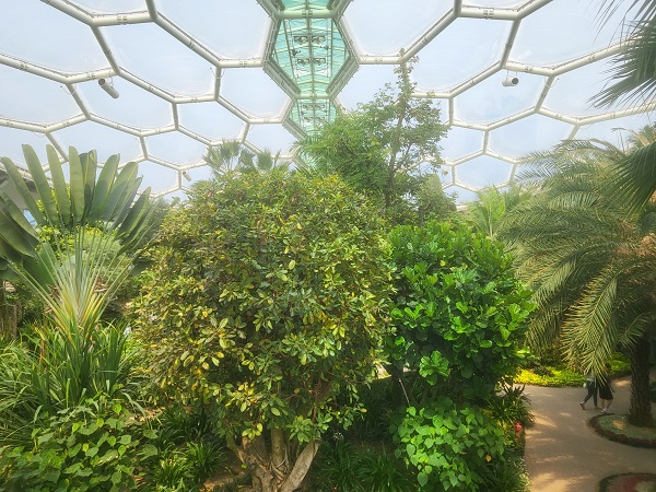 부천 수피아 식물원 모습