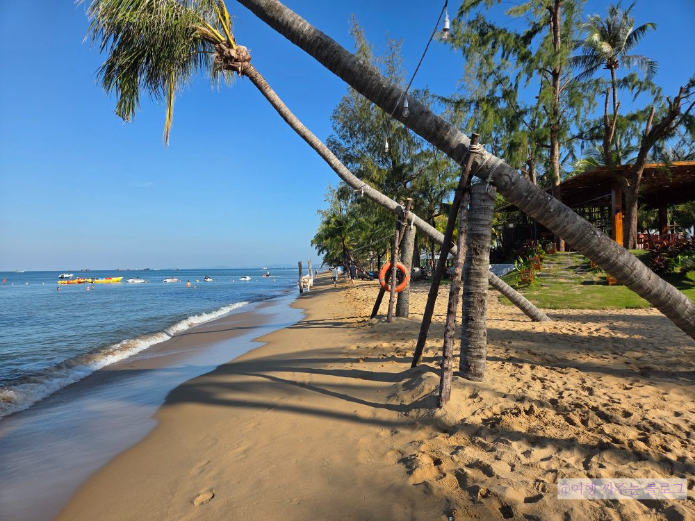 #소나시 비치바