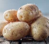 비염에 좋은 음식