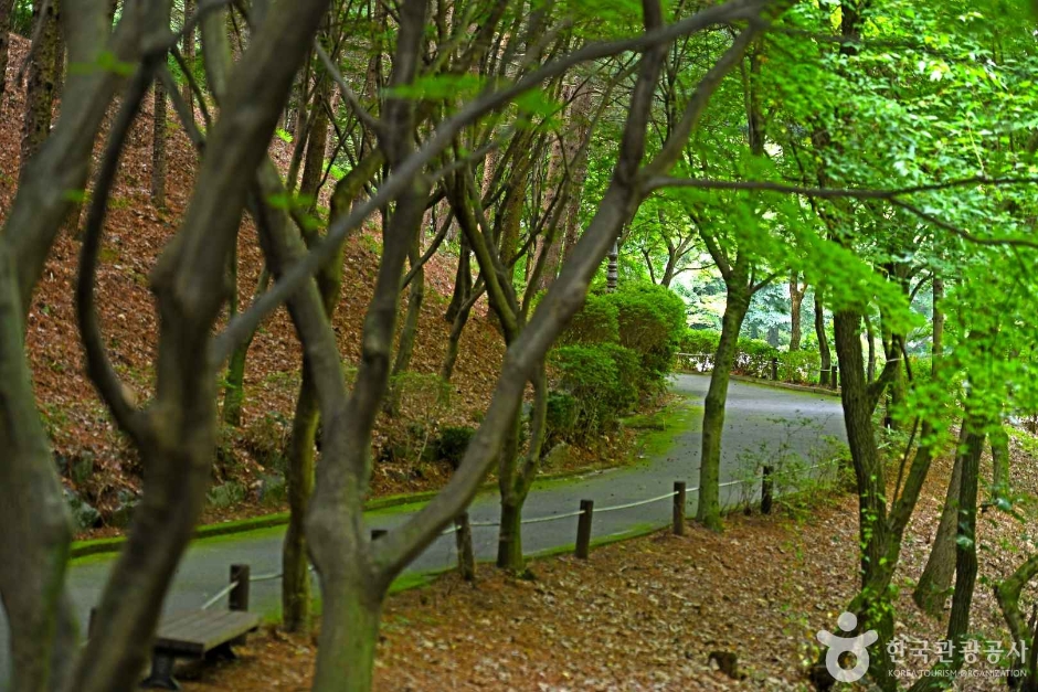 음성 가볼만한곳 베스트10