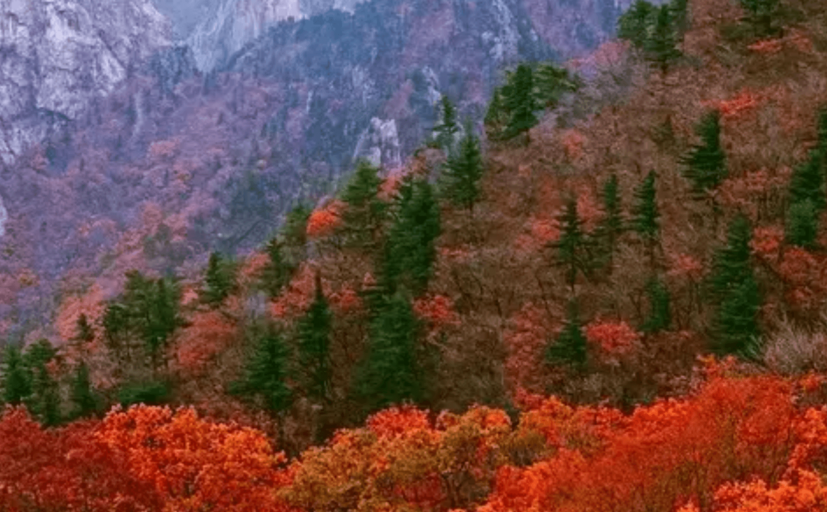 2023 설악산 단풍시기, 단풍 코스 3가지