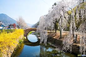 3월 국내 여행지 추천