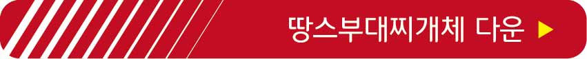 땅스부대찌개체