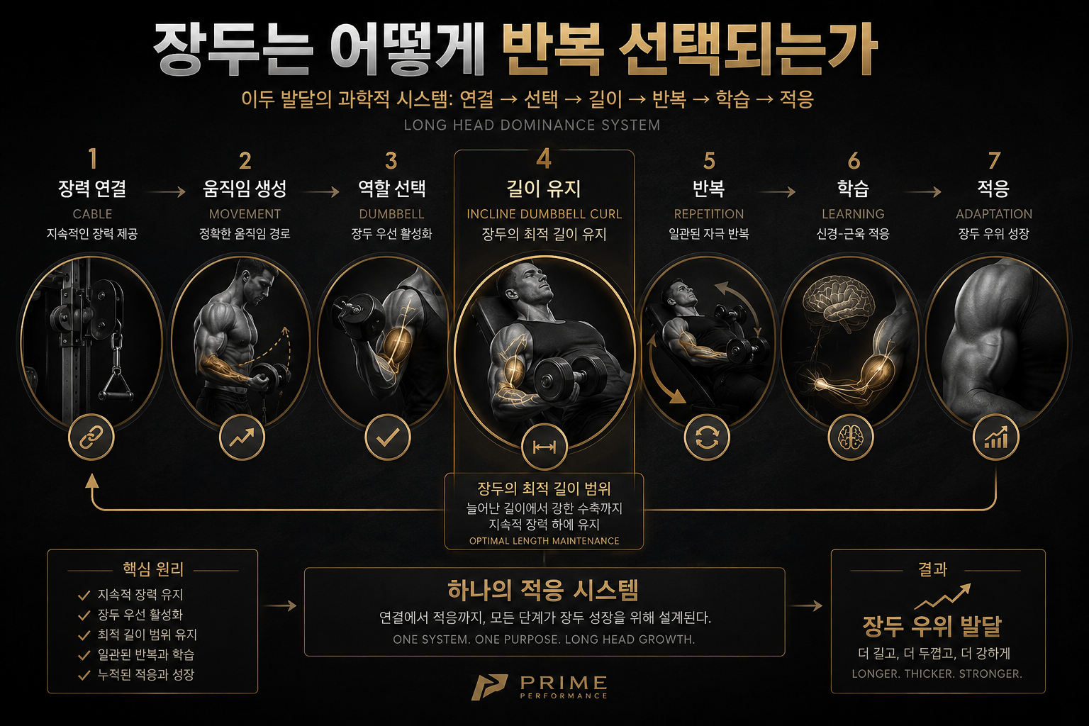 장두는 어떻게 반복 선택되는가