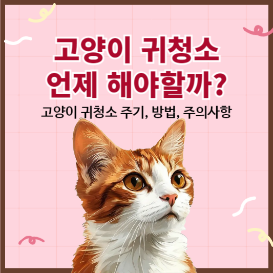 고양이 귀청소