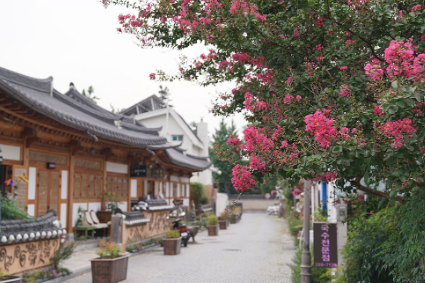 전주한옥마을 봄꽃축제(4)