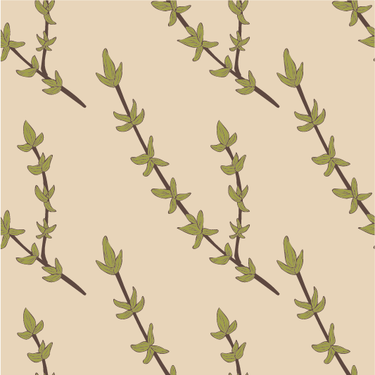 백리향-이미지-예시