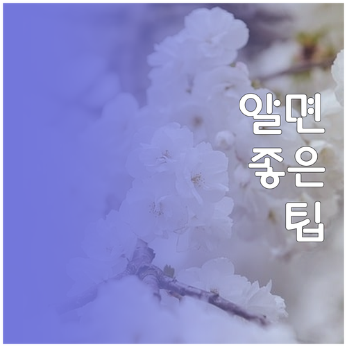 사업자 절세 성공 비법 세금 신고 시..