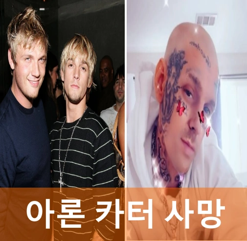 아론 카터 닉 카터 형제