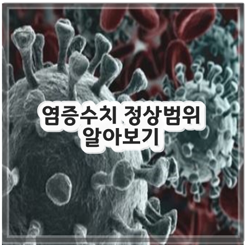 염증수치 정상범위 알아보기