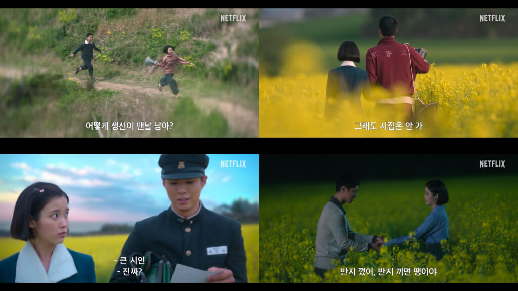 넷플릭스 폭싹 속았수다