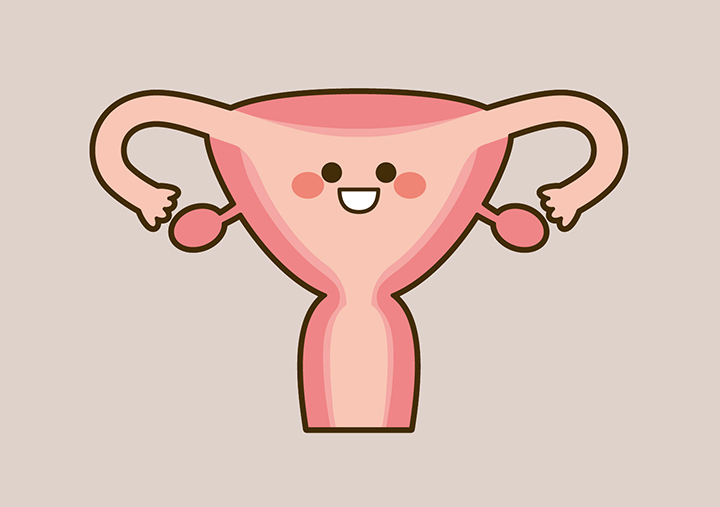 건강한-자궁-모습