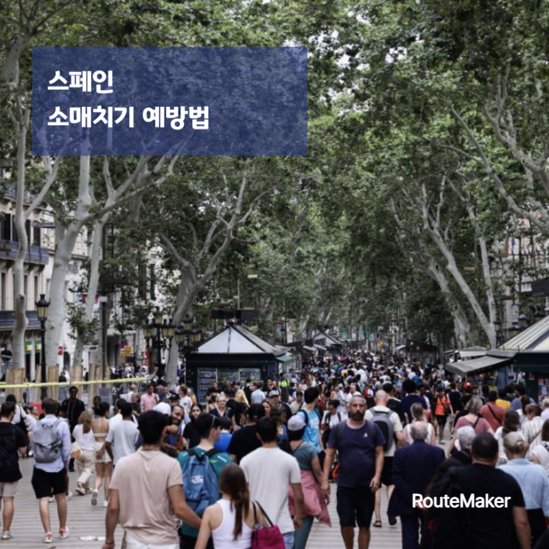 스페인 소매치기 실제 상황 + 예방법 (2026)