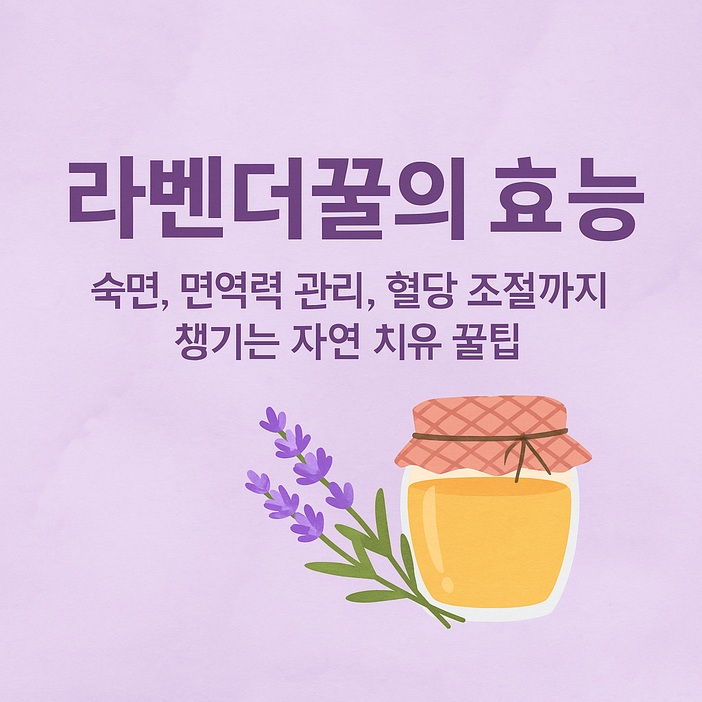 라벤더꿀의 효능: 숙면, 면역력 관리, 혈당 조절까지 챙기는 자연 치유 꿀팁