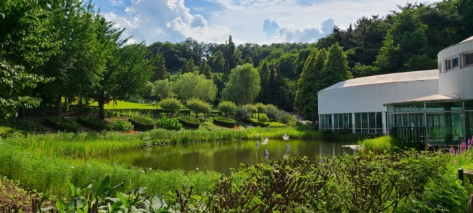 수선화축제, 아산 피나클랜드 수목원 튤립 축제