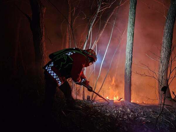 산불이 남긴 교훈