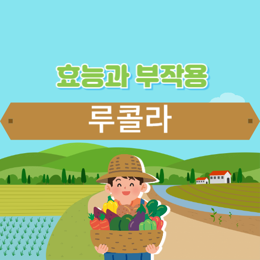 루콜라의 효능과 부작용