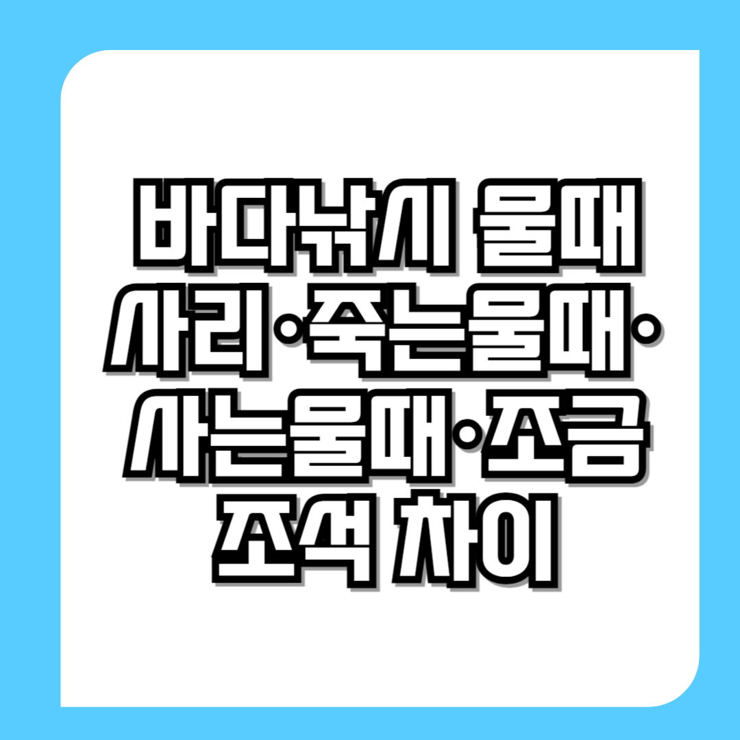바다낚시-물때-사리-죽는물때-사는물때-조금-조석-차이