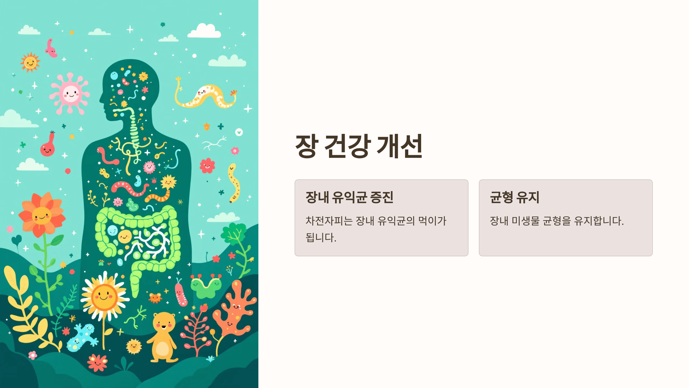 차전자피 사진입니다.