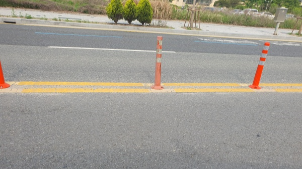 도로위의-버스전용차로