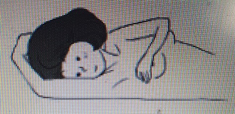 유방암자가진단
