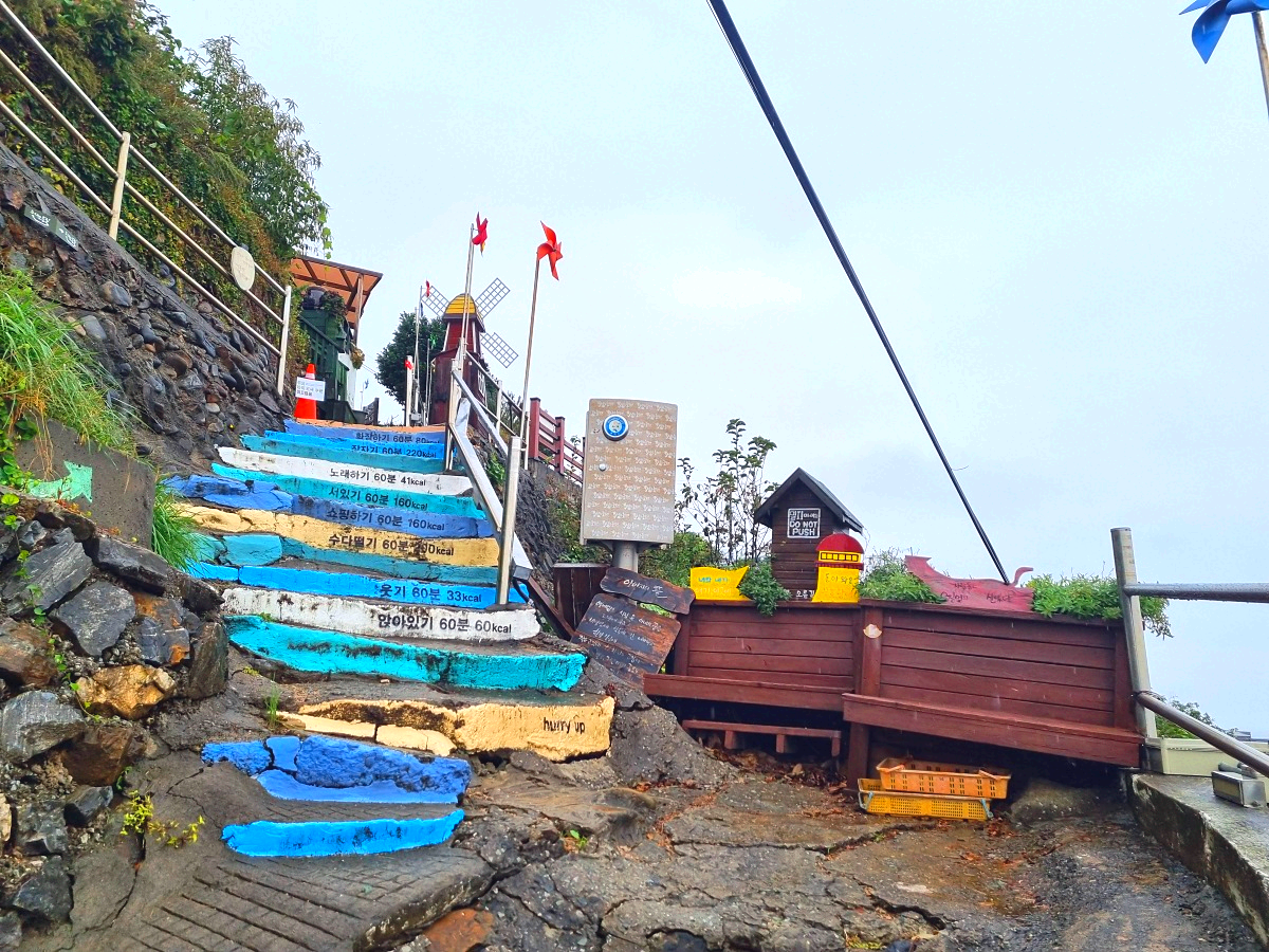 동해 묵호 가볼만한 곳 논골담길 | 묵호 등대·주차·소요시간 총정리