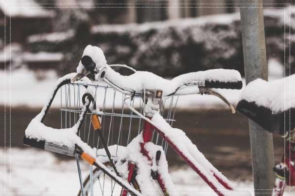 동백패스 환급금