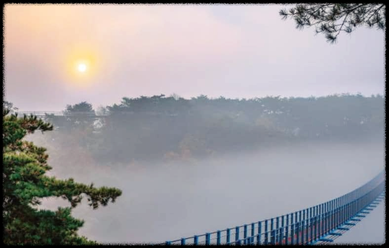 원주 소금산 출렁다리