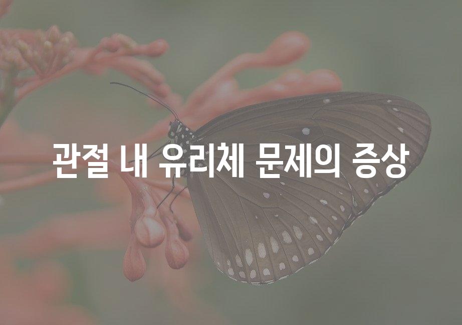 샘플 (51)