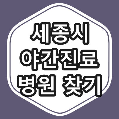 세종시 야간 진료 내과