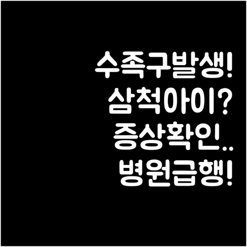 삼척 아이 수족구 증상 발생 시 병원..