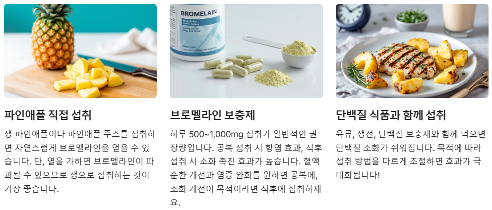 브로멜라인 복용법 섭취방법