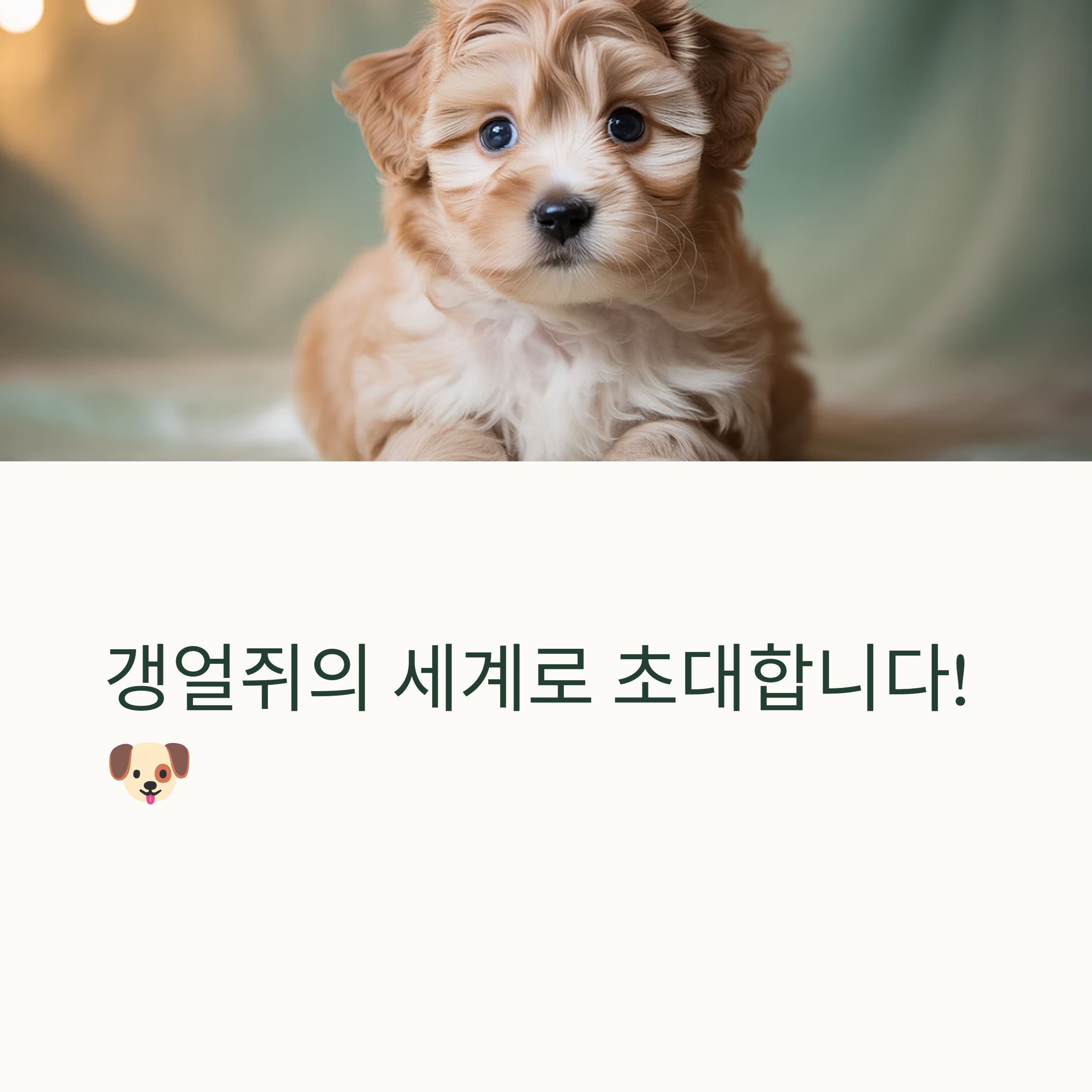 갱얼쥐