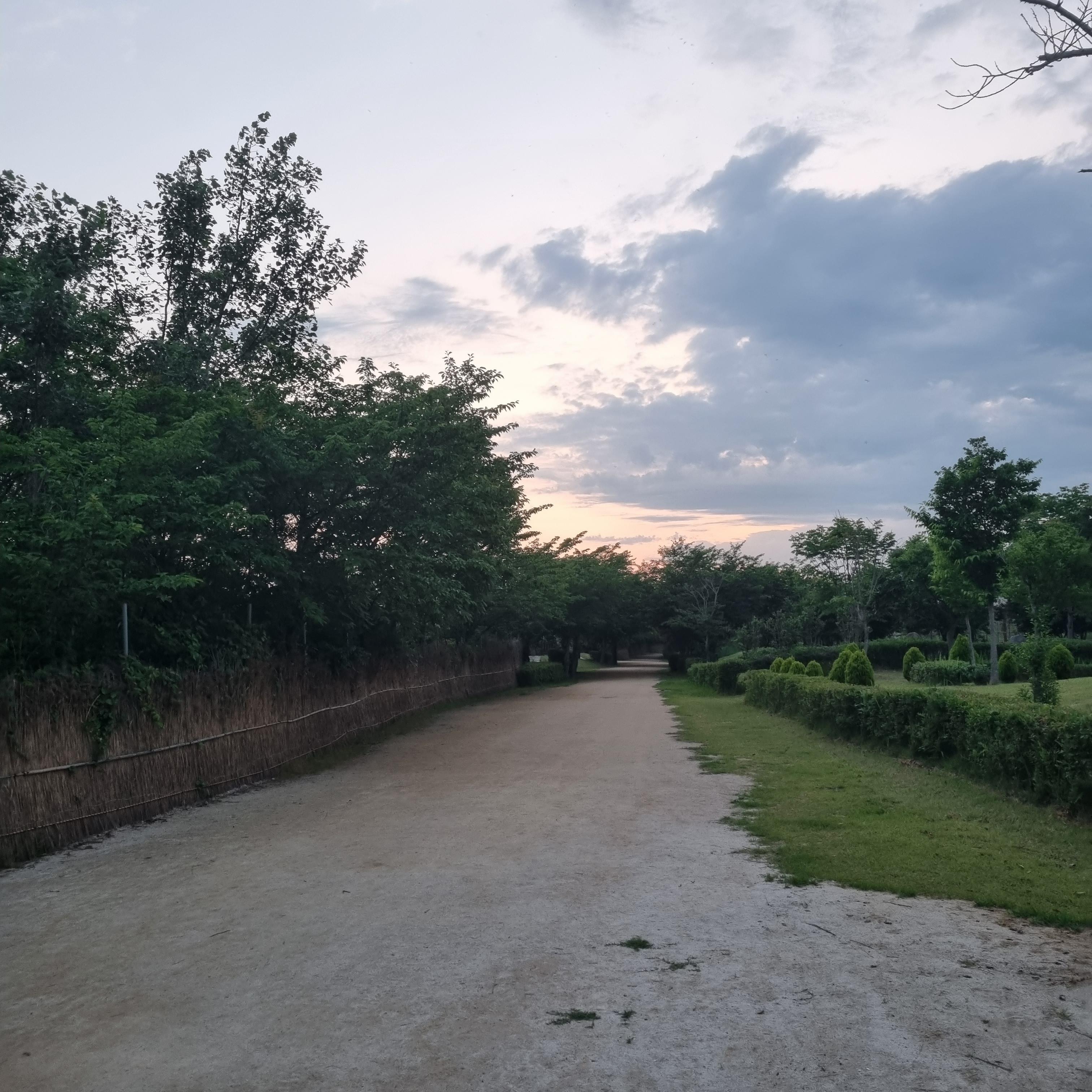 순천만습지 어싱길