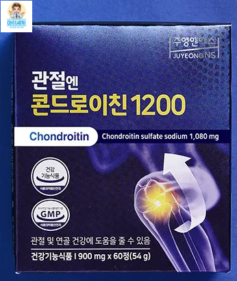 연골 관절 콘드로이친 1200 효능 부작용 후기 함량