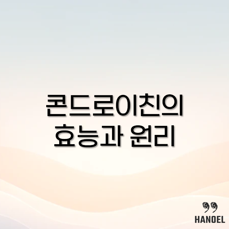 콘드로이친
