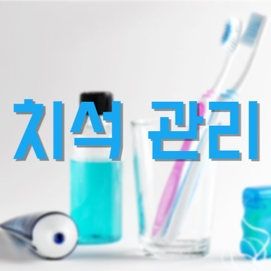 치석 관리