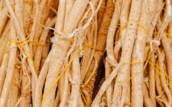 황기효능 부작용 먹는법 황기즙 효능 황기차