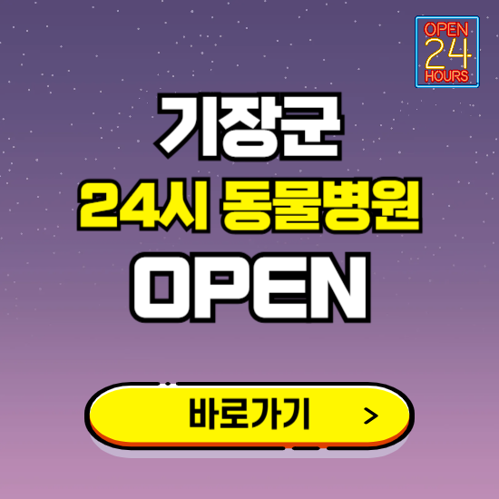 부산 기장군 24시 동물병원 진료하는 곳 ❘ 설날 휴일 야간 심야 문여는곳 찾기 ❘ 응급진료
