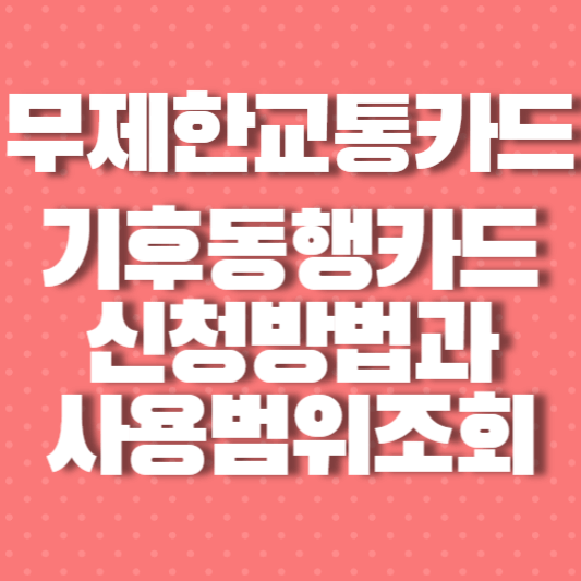 기후동행교통카드 썸네일