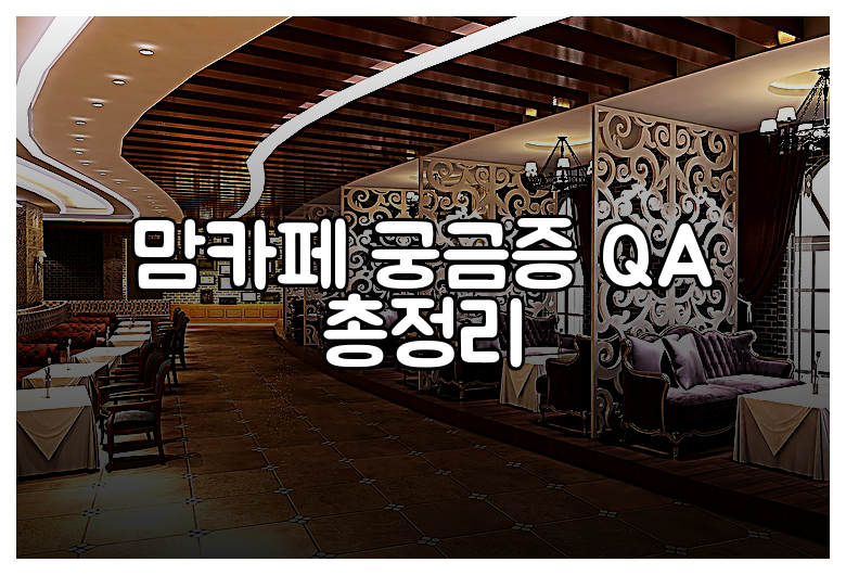 맘카페 궁금증 QA 총정리