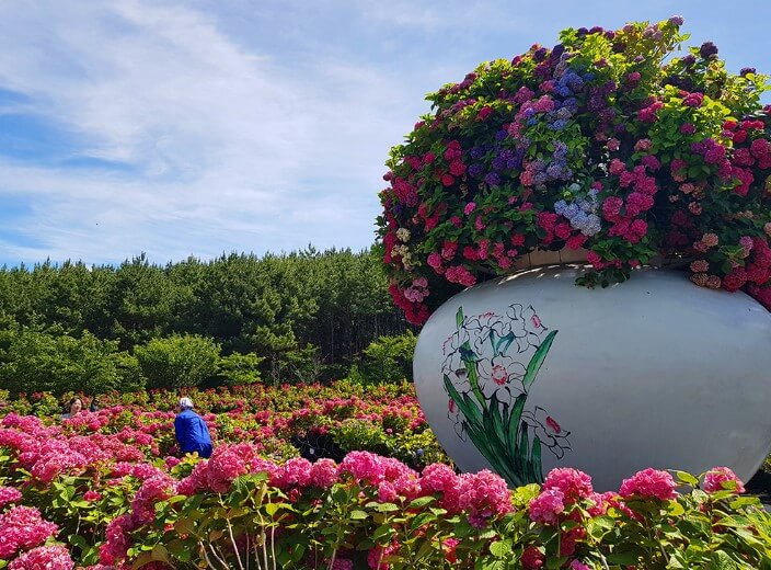 태안 봄꽃축제 모습