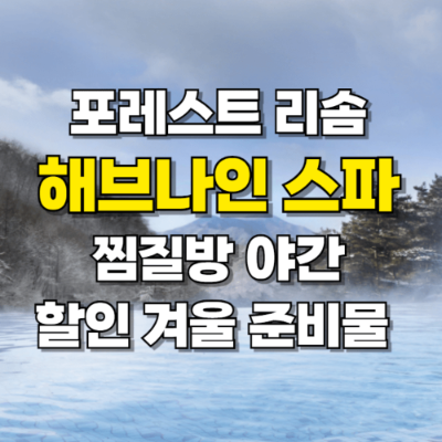 포레스트 리솜 해브나인 스파 찜질방 할인 예약 야간 겨울