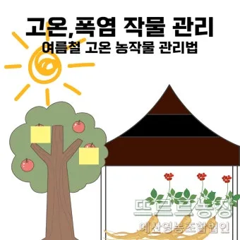 여름 고온기 관리 차광망 환기 관수 병해 예방 루틴_6