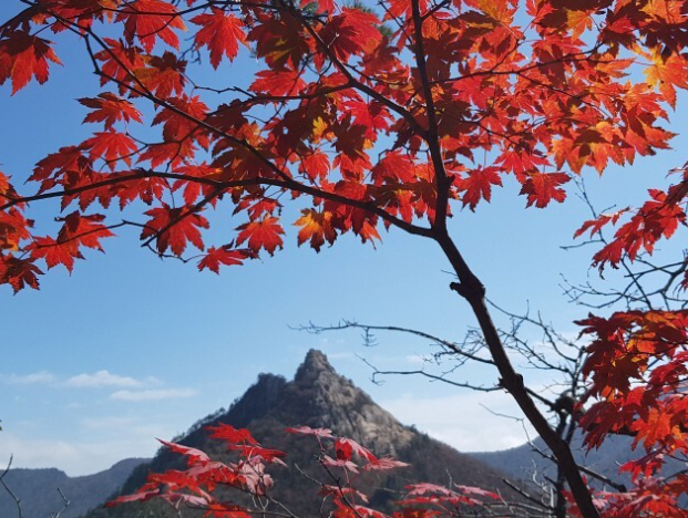 2023설악산-단풍시기