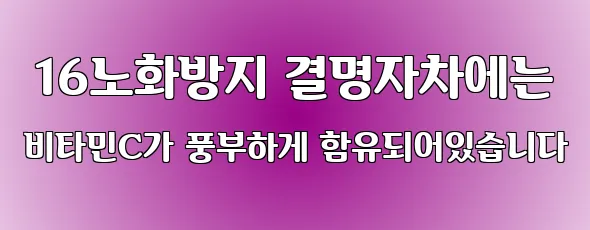  16노화방지 결명자차에는 비타민C가 풍부하게 함유되어있습니다