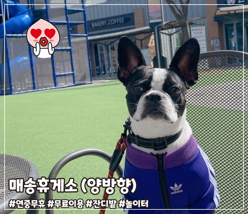 반려견휴게소